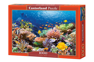 Pusle Puzzle Castorland Coral Reef Fishes, 1000 tk hind ja info | Pusled lastele ja täiskasvanutele | hansapost.ee