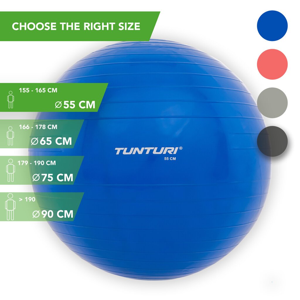 Võimlemispall pumbaga Tunturi 55 cm, sinine цена и информация | Võimlemispallid | hansapost.ee
