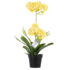 Искусственная орхидея Orchi Honey, 60 см цена и информация | Детали интерьера | hansapost.ee