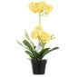 Kunstlik orhidee Orchi Honey, 60 cm hind ja info | Sisustuselemendid | hansapost.ee