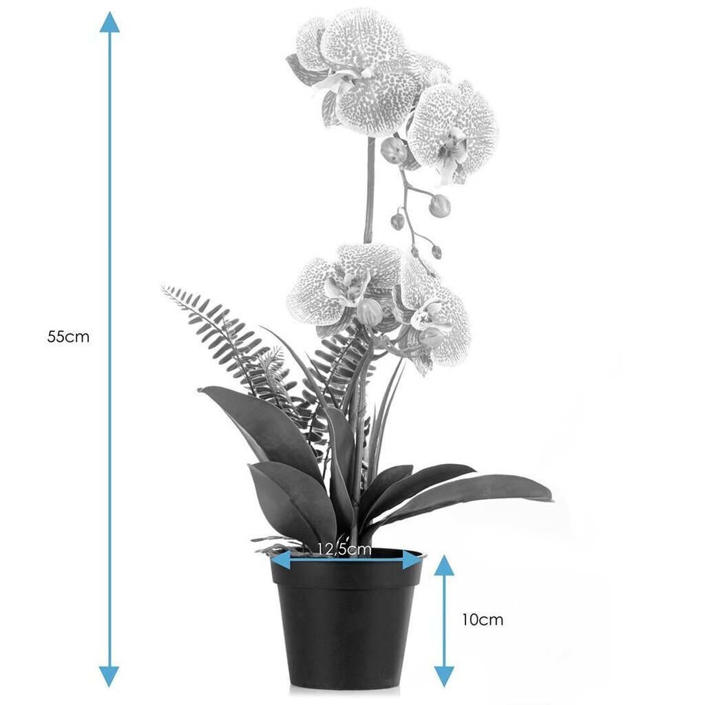 Kunstlik orhidee Orchi Powderpink, 60 cm цена и информация | Sisustuselemendid | hansapost.ee