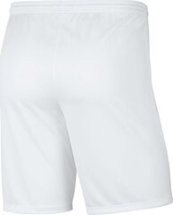 Nike meeste lühikesed püksid BV6855 100, valge hind ja info | Lühikesed püksid meestele | hansapost.ee