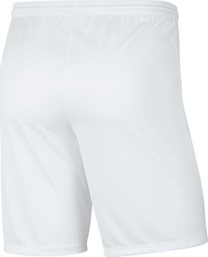 Nike meeste lühikesed püksid BV6855 100, valge цена и информация | Lühikesed püksid meestele | hansapost.ee