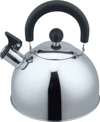 Aurora AU622 price and information | Teapots, coffee pots, water teapots | hansapost.ee