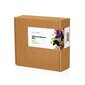 Click and Grow Smart Garden Refill 9 pakendit erinevate lillede komplekt hind ja info | Nutipotid ja taimelambid | hansapost.ee