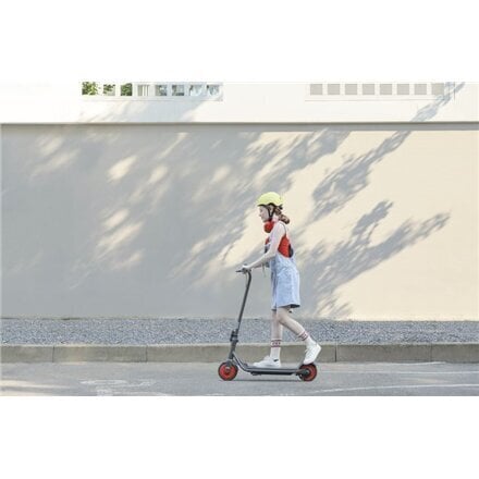 Segway AA.00.0011.54 цена и информация | Elektritõukerattad | hansapost.ee