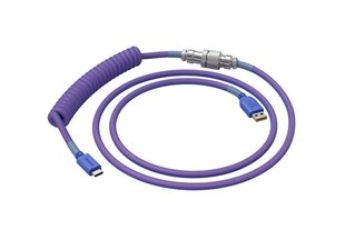 Адаптер Glorious PC Gaming Race Coiled Cable, USB-C to USB-A, фиолетовый цена и информация | Адаптеры, USB-разветвители | hansapost.ee