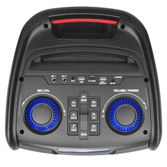 Аудиоколонка Manta SPK5350 цена и информация | Manta Аудио- и видеоаппаратура | hansapost.ee
