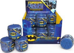 Mini Batmani kuju, SPIN0218, 1 tk. hind ja info | Hasbro Lastekaubad ja beebikaubad | hansapost.ee