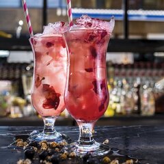 Pasabahce kokteiliklaas Holiday, 450 ml hind ja info | Klaasid, kruusid ja kannud | hansapost.ee