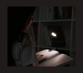 Заряжаемая лампа для чтения 4000K цена и информация | Фонарики, прожекторы | hansapost.ee
