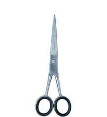 Ножницы для стрижки Donegal 5303 цена и информация | Расчески, щетки для волос, ножницы | hansapost.ee