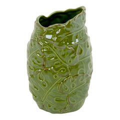 Lillevaas My Home Tropical, roheline, 12,6 x 10.3 x 20,4 cm price and information | Vases | hansapost.ee