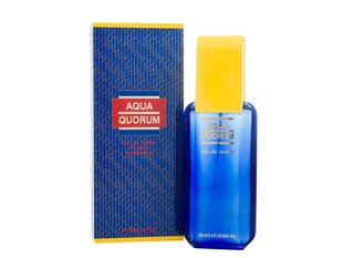 Tualettvesi Antonio Puig Agua Quorum EDT meestele 100 ml hind ja info | Parfüümid meestele | hansapost.ee