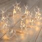 Valguskett DecoKing Reiindeer, 10 LED hind ja info | Jõulutuled | hansapost.ee