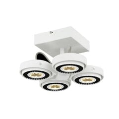 Потолочный светодиодный светильник TECHNO 40W цена и информация | Потолочные светильники | hansapost.ee