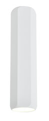 Candellux потолочный светильник 2282800 цена и информация | Потолочные светильники | hansapost.ee