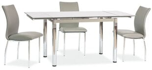 Складной стол Gd-018, серый цена и информация | Кухонные и обеденные столы | hansapost.ee