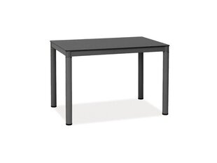 Стол Galant 100x60 см, серый цена и информация | Кухонные и обеденные столы | hansapost.ee