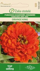 Цинния ORANGE KING цена и информация | Семена цветов | hansapost.ee
