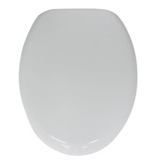 WC poti kaas AWD Interior Boston price and information | Toilet bowl accessories | hansapost.ee