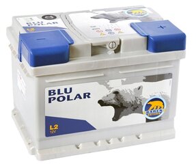 Aku BAREN POLAR BLU 54Ah 520A цена и информация | Аккумуляторы | hansapost.ee