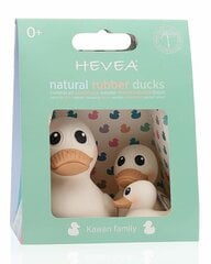 Игрушки для ванной Hevea Утиная семья Kawan цена и информация | Игрушки для малышей | hansapost.ee