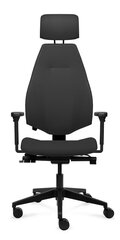 Офисное кресло Tronhill Gabri Executive цена и информация | Офисные кресла | hansapost.ee