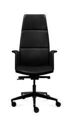 Офисное кресло Tronhill Luna Executive цена и информация | Офисные кресла | hansapost.ee