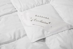 Одеяло Dream, 200x220 см цена и информация | Одеяла | hansapost.ee