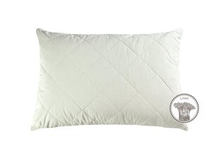 Padi COMCO LINEN, 60x60 cm price and information | Pillows | hansapost.ee