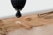 Wolfcraft süvistuspuur puidule 6,12,16 mm, trellile цена и информация | Käsitööriistad | hansapost.ee