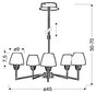 Candellux lamp Togo цена и информация | Rippvalgustid | hansapost.ee