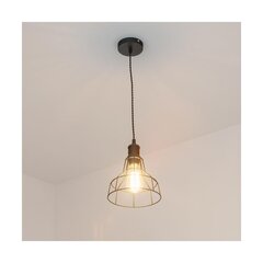 Лампа SYNTHIA цена и информация | Люстры | hansapost.ee