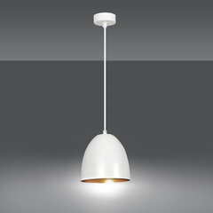 Лампа Emibig LENOX 1 WHITE цена и информация | Люстры | hansapost.ee