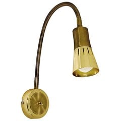 Настенный светильник Candellux 5591-84470 цена и информация | Настенные светильники | hansapost.ee