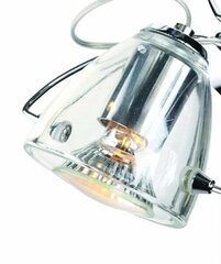 Лампа Light Prestige Dalia 1 цена и информация | Настенные светильники | hansapost.ee