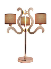 Настольная лампа Candellux 5543-33925 цена и информация | Настольные лампы | hansapost.ee