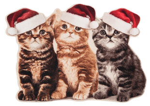 Uksematt Hanse Home Printy Christmas Cats, 45x64 cm цена и информация | Придверные коврики | hansapost.ee