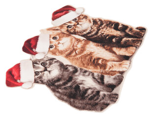 Uksematt Hanse Home Printy Christmas Cats, 45x64 cm цена и информация | Придверные коврики | hansapost.ee