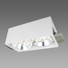 Light Prestige светильник Corleto 2 white цена и информация | Потолочные светильники | hansapost.ee