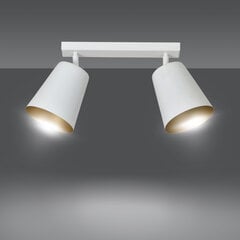 Потолочная лампа Emibig PRISM 2 WHITE цена и информация | Потолочные светильники | hansapost.ee