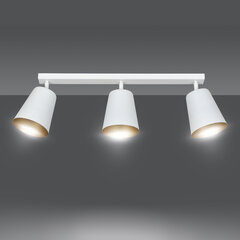 Потолочная лампа Emibig PRISM 3 WHITE цена и информация | Потолочные светильники | hansapost.ee