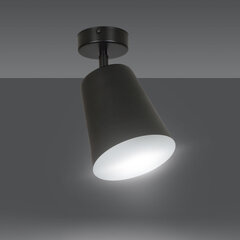 Потолочная лампа Emibig PRISM 1 BLACK цена и информация | Потолочные светильники | hansapost.ee