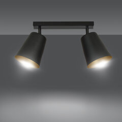 Потолочная лампа Emibig PRISM 2 BLACK цена и информация | Потолочные светильники | hansapost.ee