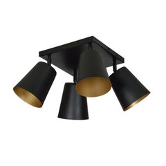 Потолочная лампа Emibig PRISM 4 BLACK цена и информация | Потолочные светильники | hansapost.ee