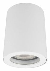 Light Prestige подвесная лампа FARO цена и информация | Потолочные светильники | hansapost.ee