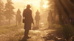 Red Dead Redemption 2 PS4 цена и информация | Компьютерные игры | hansapost.ee