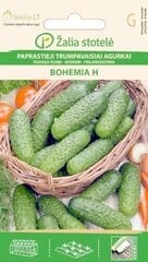 Огурцы обыкновенные Bohemia H цена и информация | Семена овощей, ягод | hansapost.ee