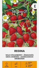 Maasikas Regina hind ja info | Marja- ja köögiviljaseemned | hansapost.ee